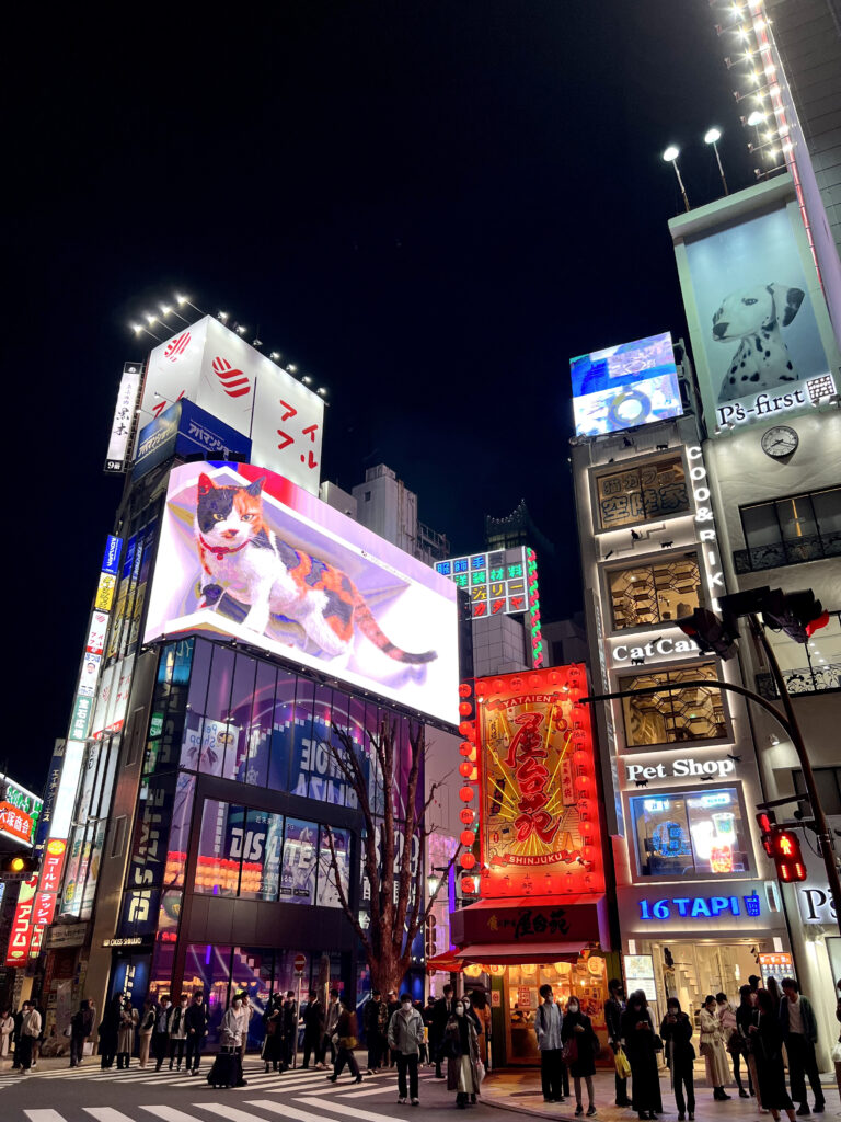 Shinjuku by night