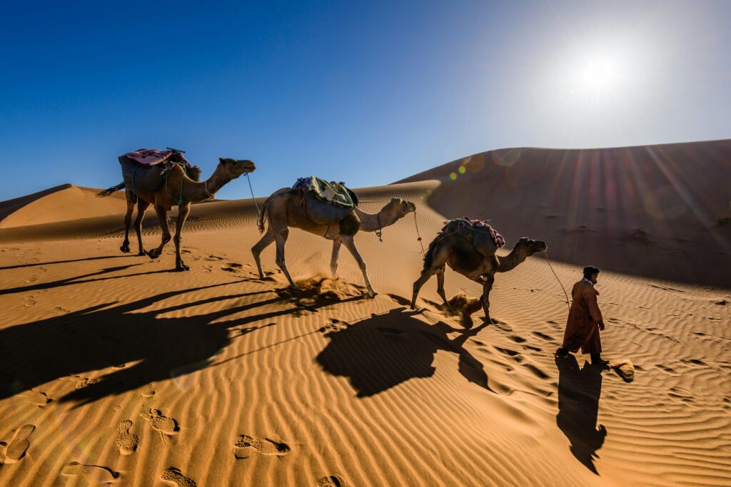 deserto_pexels-sergey-pesterev-69811391-8428013