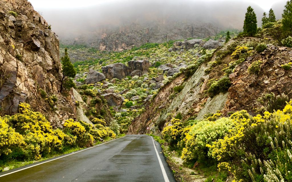 Gran Canaria – Natura