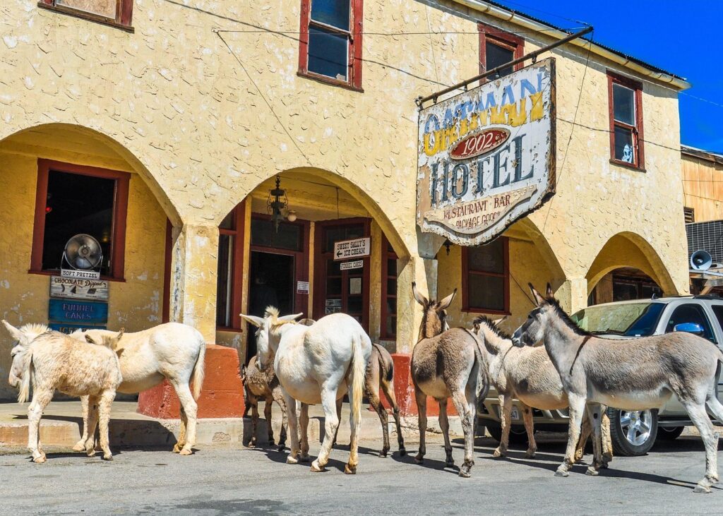 Oatman