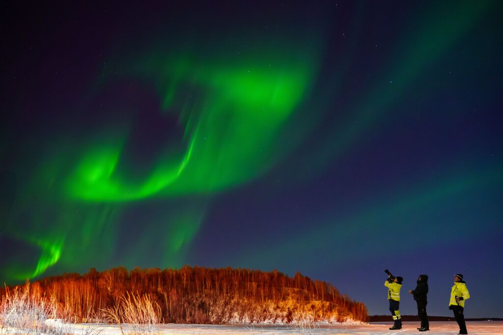 pexels-markku-soini-346079267-30779789